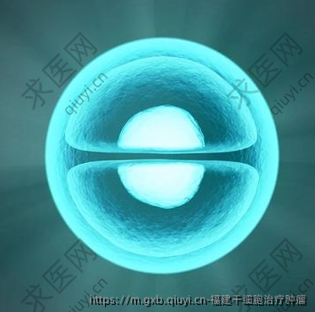 福建干细胞治疗肿瘤