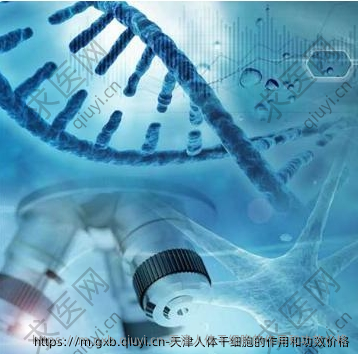 天津人体干细胞的作用和功效价格