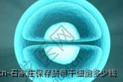 石家庄保存脐带干细胞多少钱