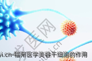 福州医学美容干细胞的作用