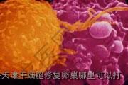天津干细胞修复卵巢哪里可以打