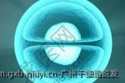 广州干细胞脱发