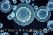 深圳干细胞的八大作用和功效价格