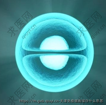 天津免疫细胞储存什么意思