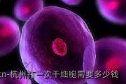 杭州打一次干细胞需要多少钱