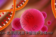 北京间充质干细胞外泌体mir