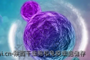 陕西干细胞和免疫细胞储存