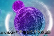 广州生命银行免疫细胞