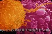 陕西服用干细胞有什么用