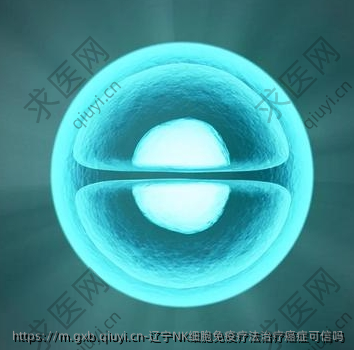 辽宁NK细胞免疫疗法**可信吗