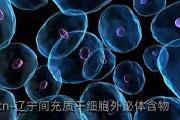 辽宁间充质干细胞外泌体含物