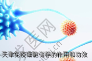 天津免疫细胞储存的作用和功效