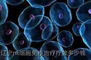 辽宁nk细胞免疫治疗疗效多少钱