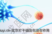 北京打干细胞有没有作用