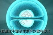 石家庄干细胞注射可以维持多久