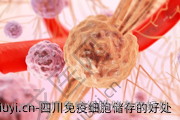 四川免疫细胞储存的好处