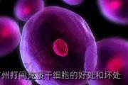 广州打间充质干细胞的好处和坏处