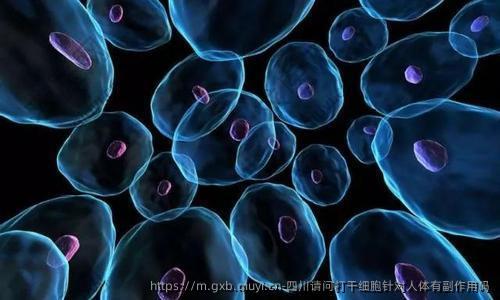 四川请问打干细胞针对人体有副作用吗