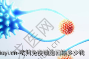 杭州免疫细胞回输多少钱