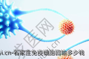 石家庄免疫细胞回输多少钱