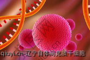 辽宁自体间充质干细胞