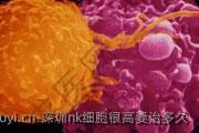 深圳nk细胞很高要治多久