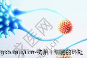 杭州干细胞的坏处