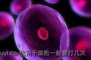 杭州干细胞一般要打几次