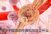 南京干细胞的作用和功效是什么