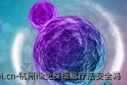 杭州nk免疫细胞疗法安全吗