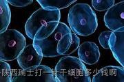 陕西瑞士打一针干细胞多少钱啊