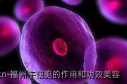 福州干细胞的作用和功效美容