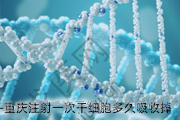 重庆注射一次干细胞多久吸收掉
