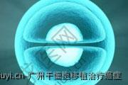 广州干细胞移植**