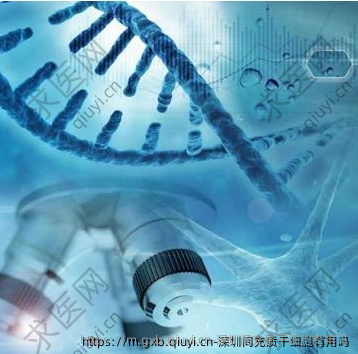 深圳间充质干细胞有用吗