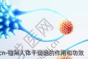 福州人体干细胞的作用和功效