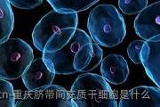重庆脐带间充质干细胞是什么