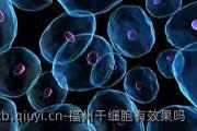 福州干细胞有效果吗