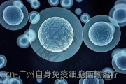 广州自身免疫细胞回输治疗