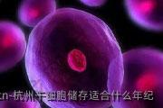 杭州干细胞储存适合什么年纪