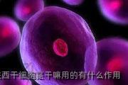 陕西干细胞是干嘛用的有什么作用