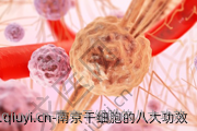 南京干细胞的八大功效