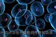 四川活性干细胞的作用和功效