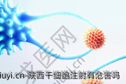 陕西干细胞注射有危害吗