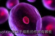 深圳干细胞的作用有哪些