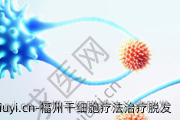 福州干细胞疗法治疗脱发