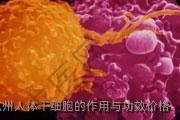 杭州人体干细胞的作用与功效价格