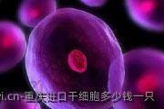 重庆进口干细胞多少钱一只