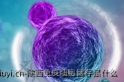 陕西免疫细胞储存是什么