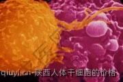 陕西人体干细胞的价格